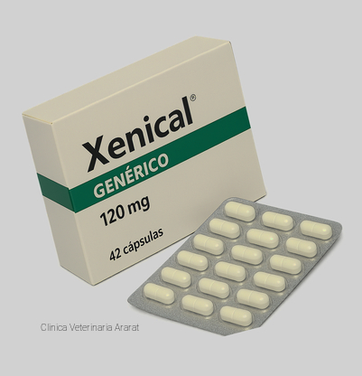 orlistat