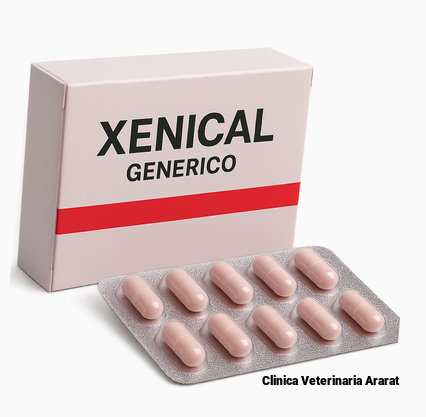 orlistat orlistat